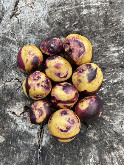 Heart's Pasture Holiday Potato Box